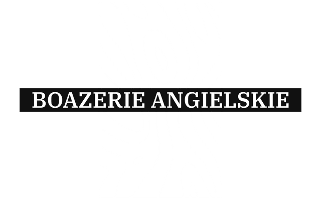 Logo w nagłówku strony logo-no-background